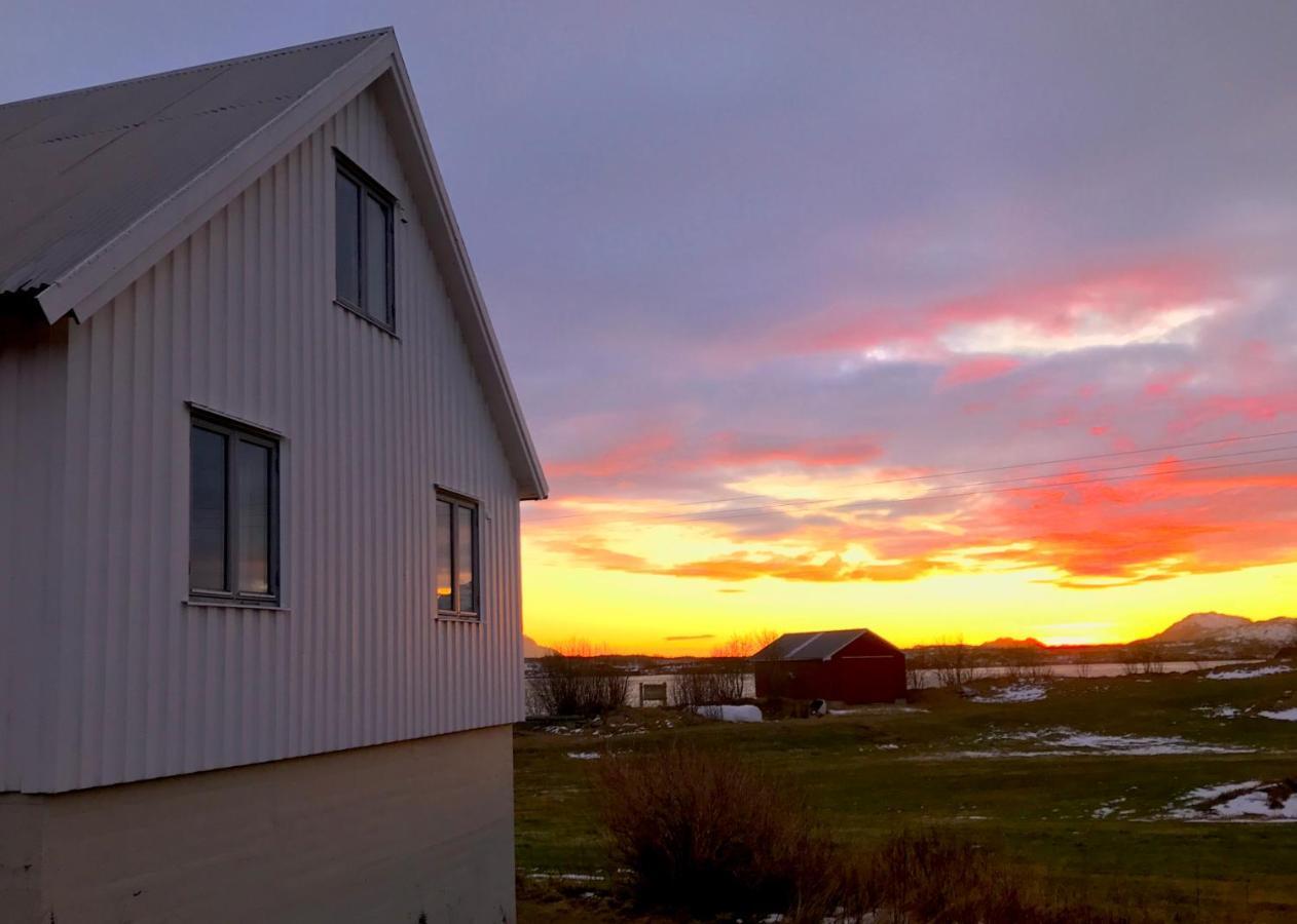 Salmon Lofoten